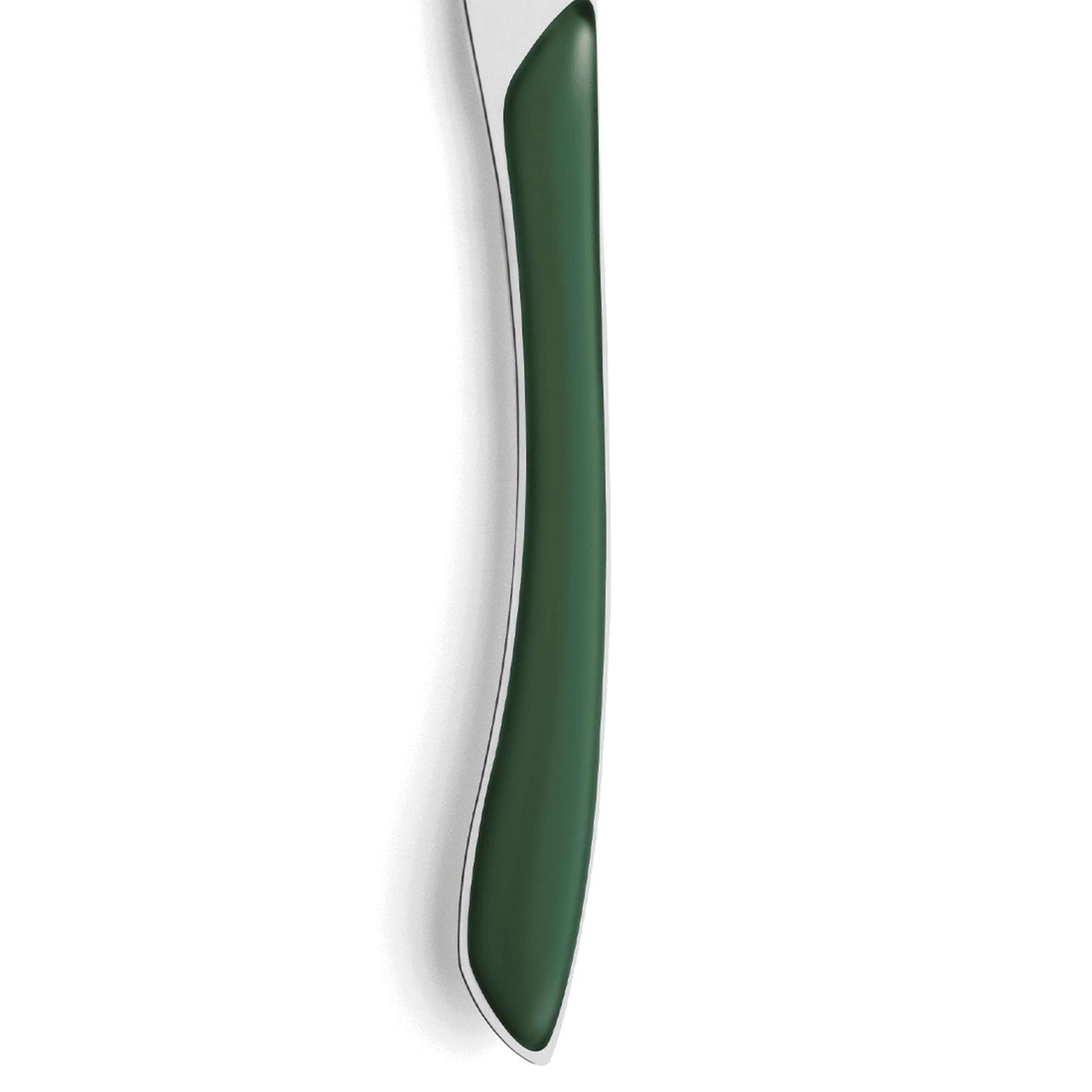PRISMA dinner knife full handle fir green