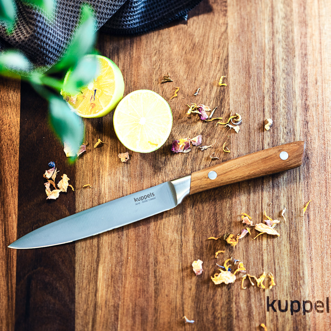 AVID Allzweckmesser - kuppels-home.de