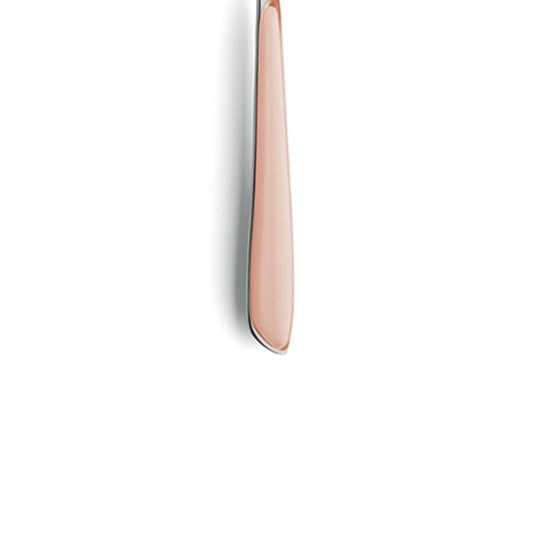 Eine Nahaufnahme eines einzelnen Buttermessers aus Edelstahl mit glattem Griff, vertikal vor einem weißen Hintergrund dargestellt, ergänzt das Kuppels PRISMA Kuchengabel-Set 6-teilig Aprikose perfekt auf Ihrem Tisch.