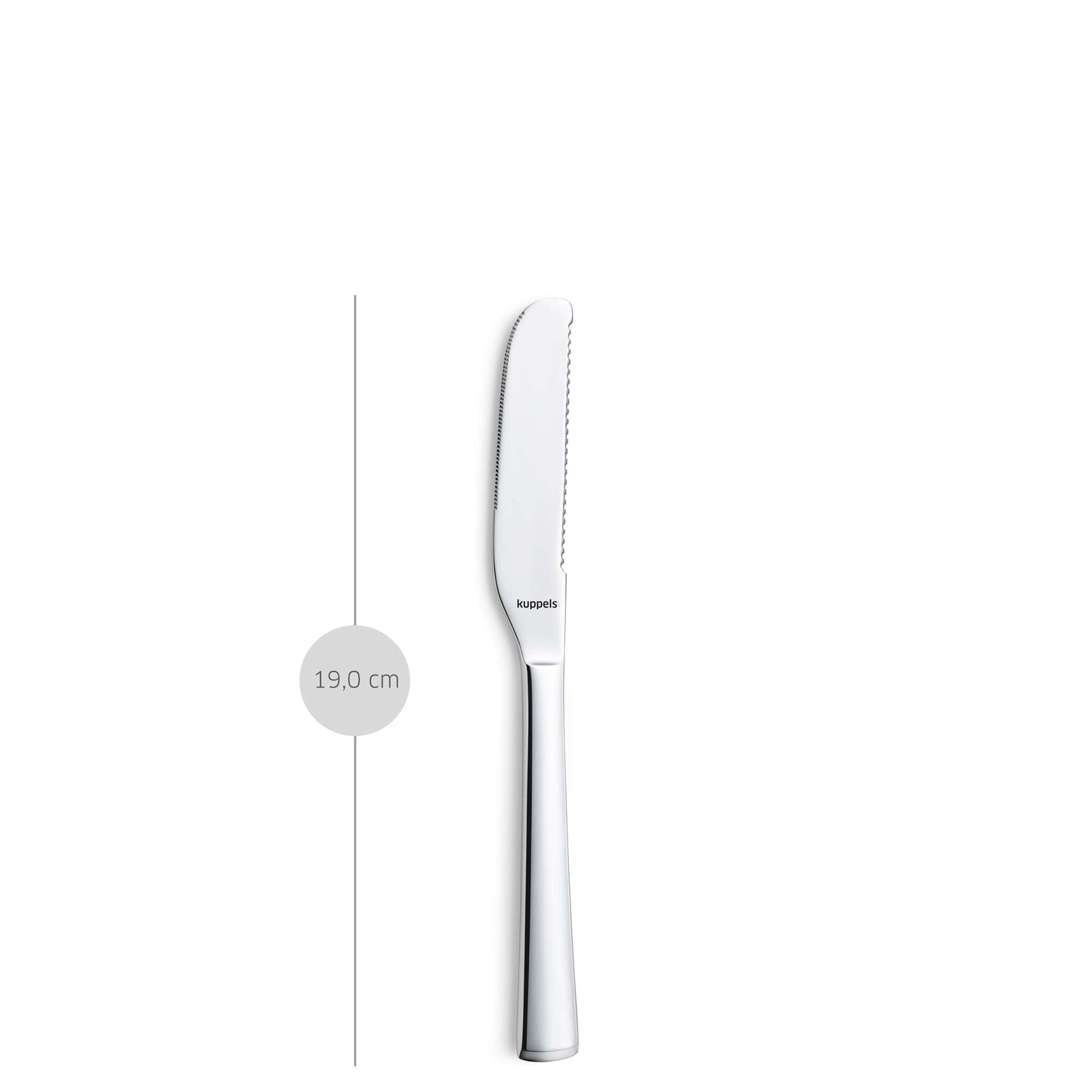 Ein 2-teiliges Butterstreicher-Set von Kuppels SELECTION aus Edelstahl (18/10) mit einem Tischmesser mit abgerundeter Spitze und gezackter Klinge steht aufrecht neben einer vertikalen Linie, die seine Länge von 19,0 cm angibt, vor einem schlichten weißen Hintergrund.