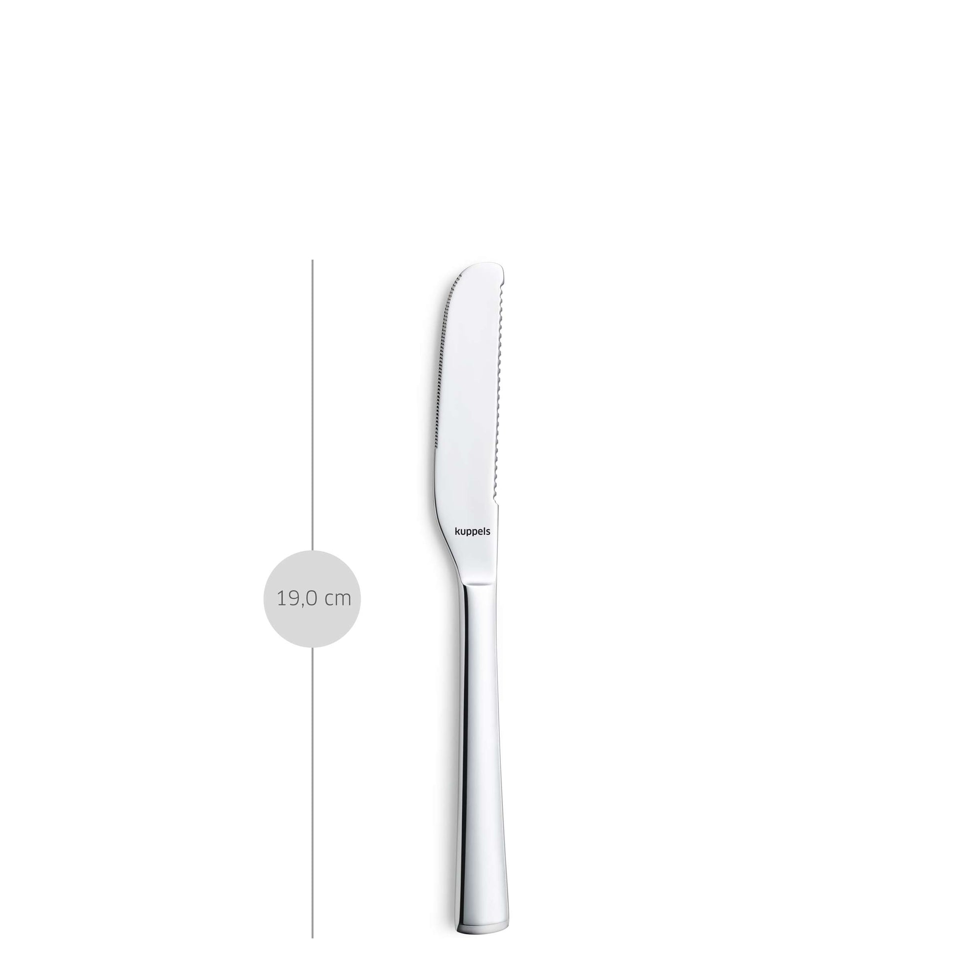 Ein 2-teiliges Butterstreicher-Set von Kuppels SELECTION aus Edelstahl (18/10) mit einem Tischmesser mit abgerundeter Spitze und gezackter Klinge steht aufrecht neben einer vertikalen Linie, die seine Länge von 19,0 cm angibt, vor einem schlichten weißen Hintergrund.