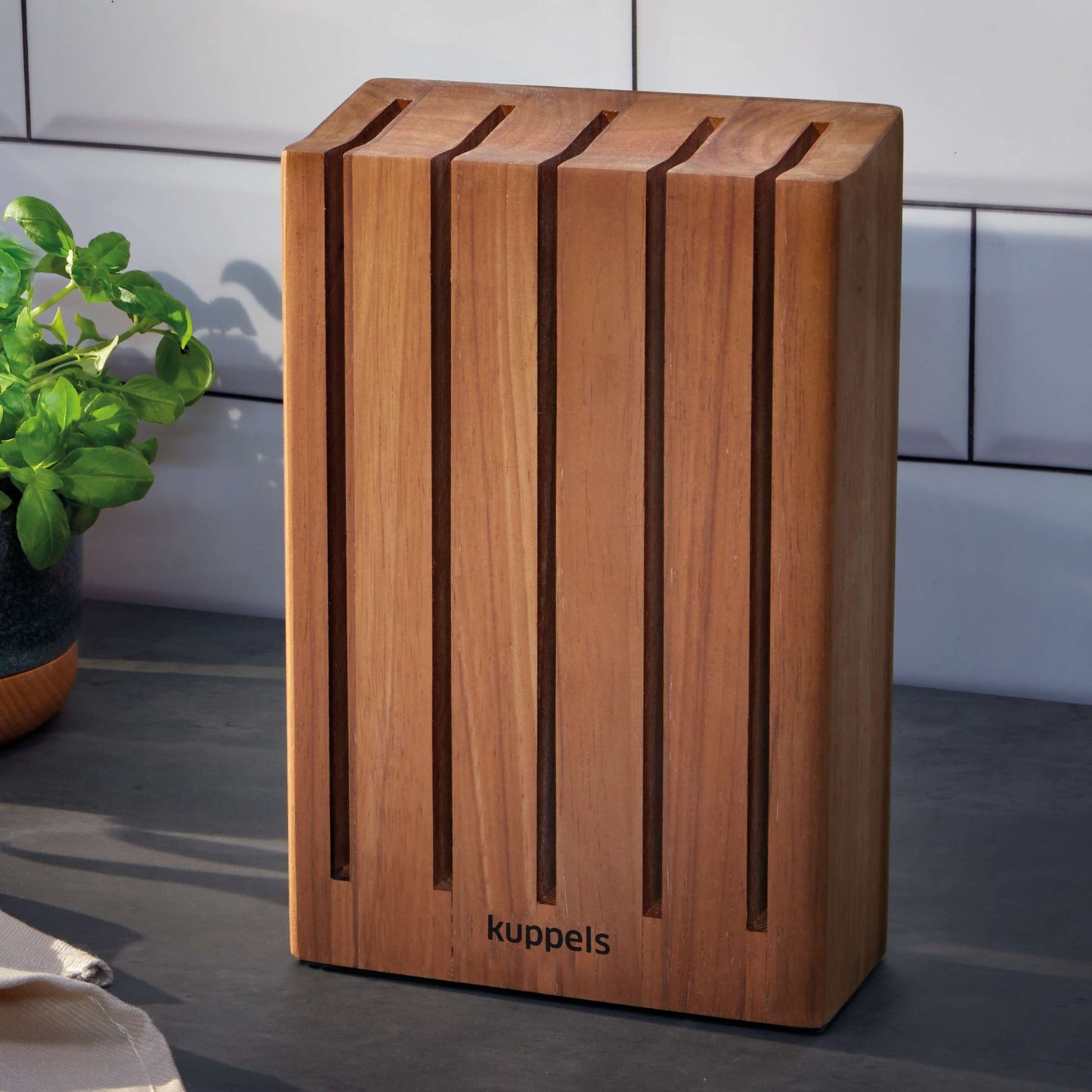 PRESTIGE magnetic knife block